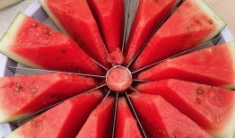 吃瓜网每日大赛